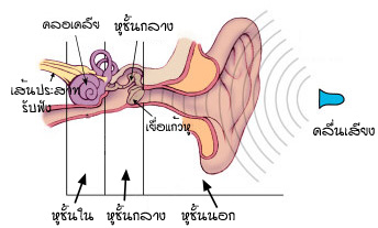 วงกลม - ระดับชั้น 5 - Quizizz