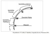 Dźwięki średnie - Klasa 10 - Quiz