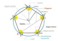 polígonos regulares e irregulares - Série 9 - Questionário