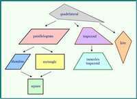 Quadrilaterals - Grade 6 - Quizizz