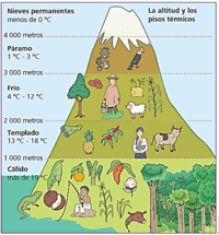 Estaciones climáticas - Grado 4 - Quizizz