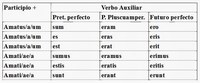 Estructura de la oración - Grado 4 - Quizizz