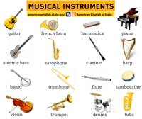 Instrumentos quirúrgicos - Grado 7 - Quizizz