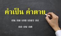 คำ: การใช้ตัวพิมพ์ใหญ่ - ระดับชั้น 2 - Quizizz