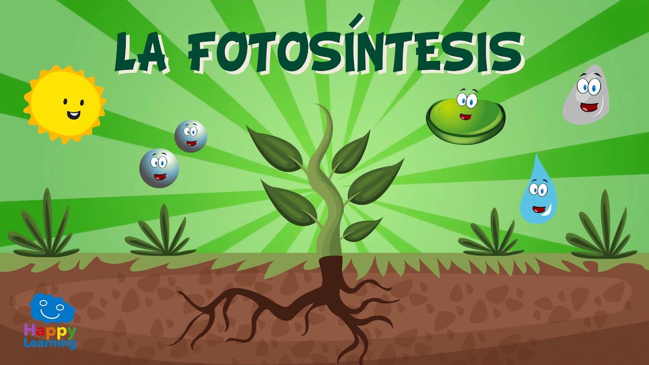 fotosíntesis - Grado 10 - Quizizz