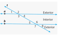 Angles and Triangles