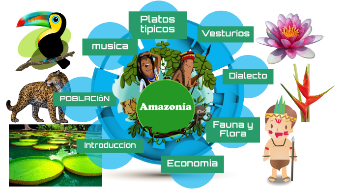 biodiversidade e conservação Flashcards - Questionário