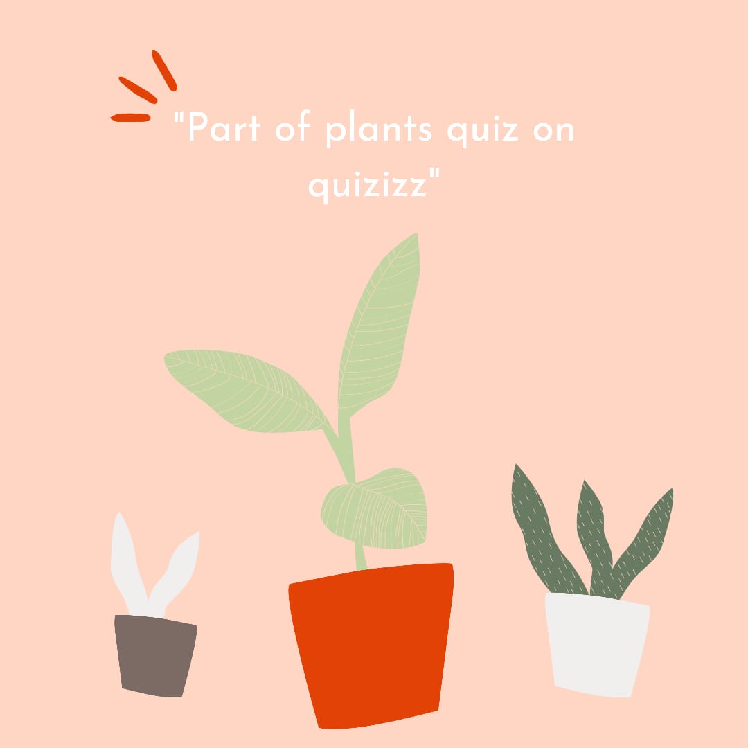 parts-of-plants-science-quizizz