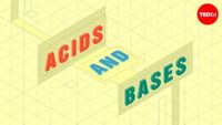 acids and bases Flashcards - Quizizz