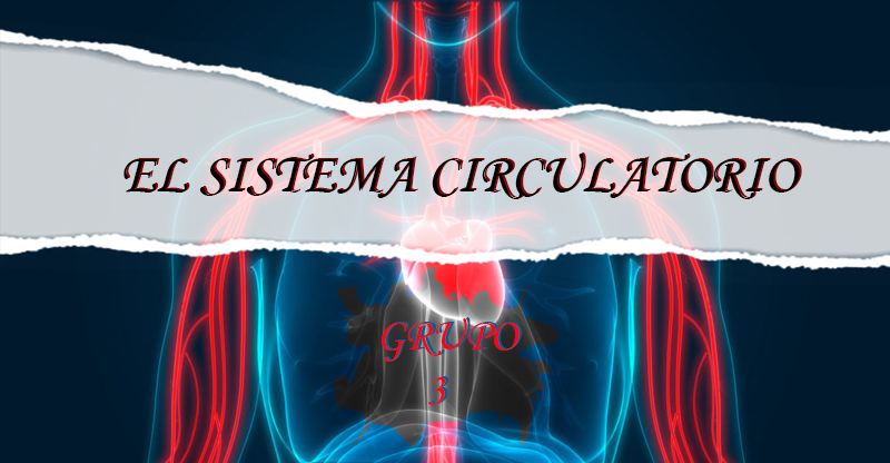 el sistema reproductivo - Grado 12 - Quizizz