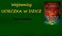 Długie samogłoski Fiszki - Quizizz