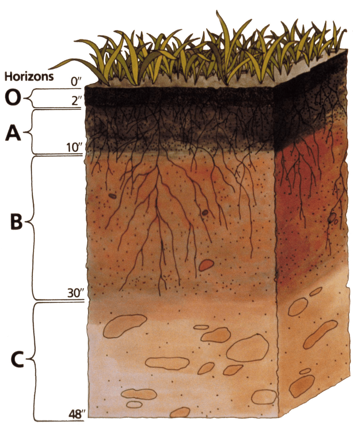 Perubahan tanah dapat terjadi secara alami dan akibat aktivitas manusia. manakah diantara perubahan tanah berikut ini yang hanya disebabkan oleh faktor alami?