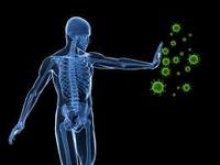 the immune system - Year 7 - Quizizz