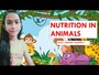 nutrition in animals