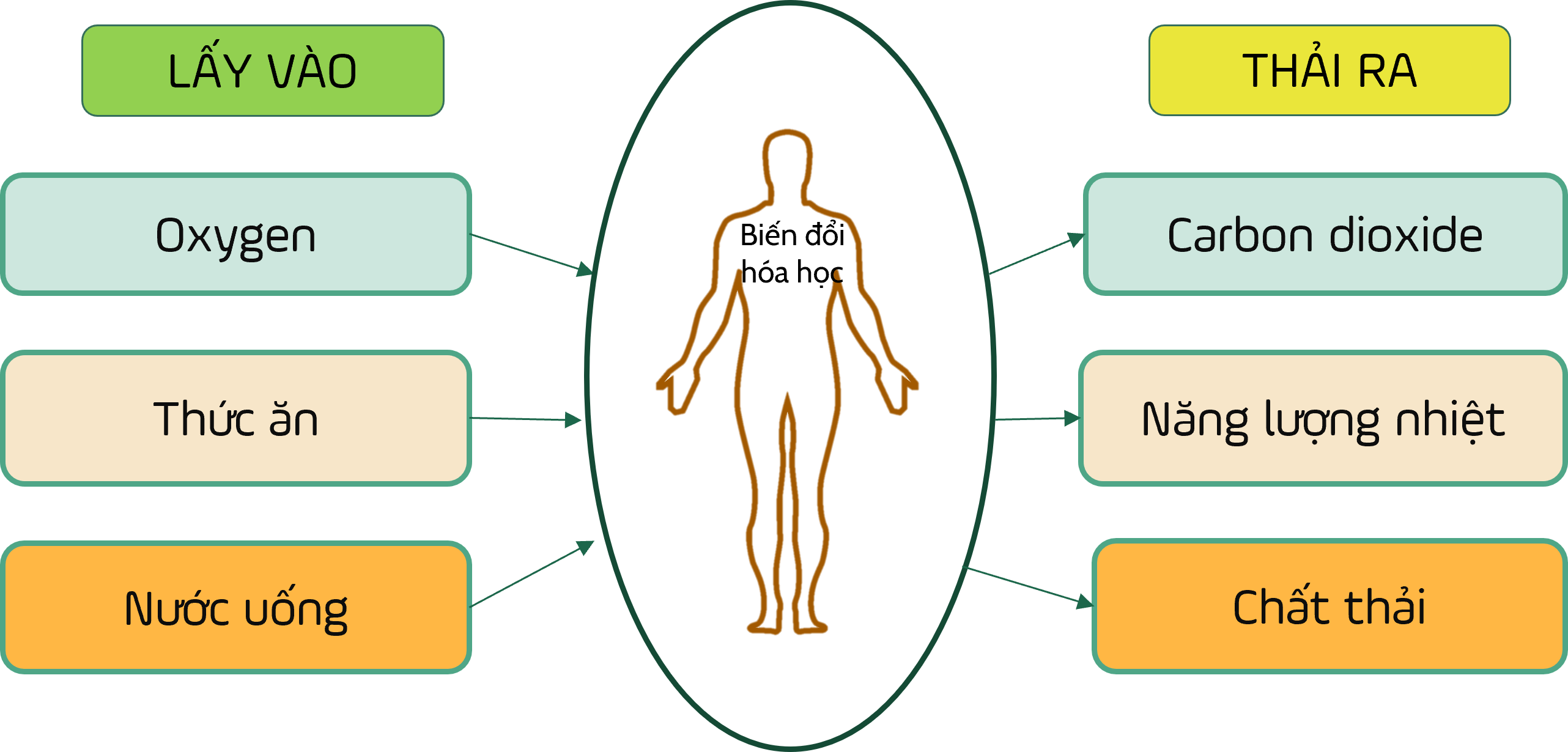 Ký hiệu khoa học Flashcards - Quizizz