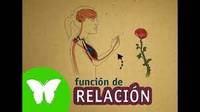 social emocional - Grado 8 - Quizizz