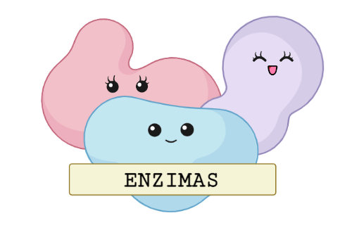 enzim - Kelas 9 - Kuis