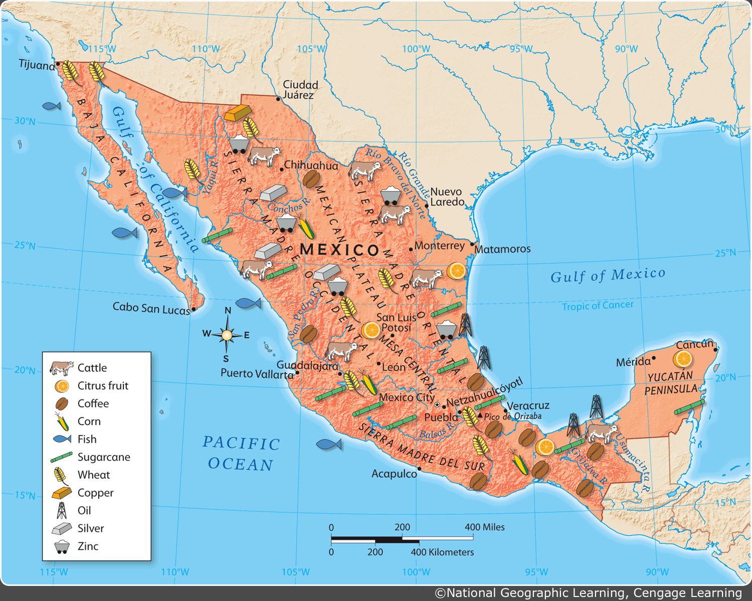 3.1.4 Mexico's Mountains & Plateaus | Geography - Quizizz