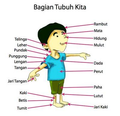 Simpulan bahasa anggota badan