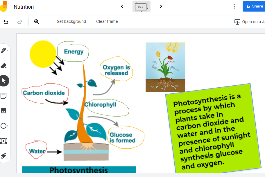 photosynthesis - Class 10 - Quizizz