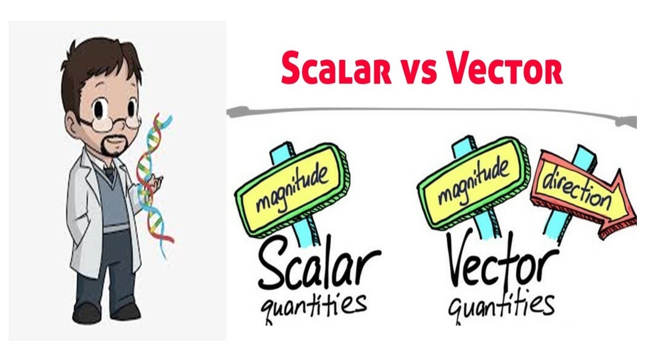 Vectors, Scalars, Distance and Displacement