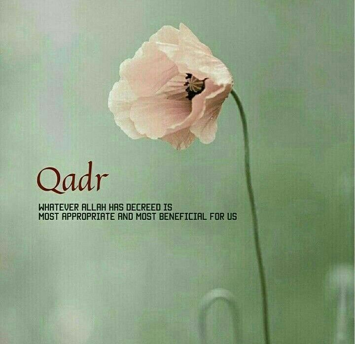 What is Qadr and how does it work?