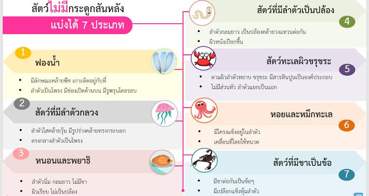 สัตว์ - ระดับชั้น 4 - Quizizz