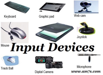 Input Devices-Grade-2 | Computers - Quizizz