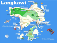 Persamaan Multi-Langkah - Kelas 7 - Kuis