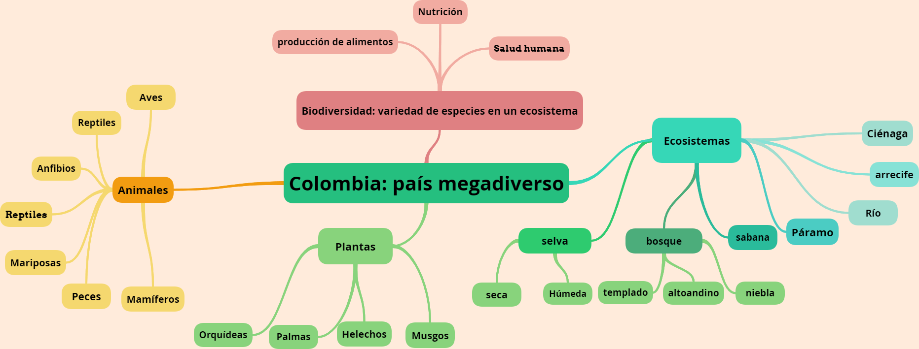 Mapa mental- Biodiversidad | World Languages - Quizizz