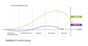 2 4 Marketing Mix Product Life Cycle Quiz Quizizz