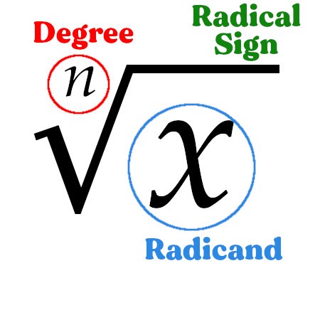 Rational Expressions Flashcards - Quizizz