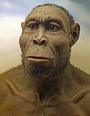 Homo soloensis dan homo wajakensis mendukung peradaban saat itu