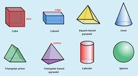 3D Shapes - Grade 1 - Quizizz