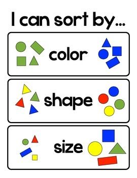 Assessment: Sort & Classify