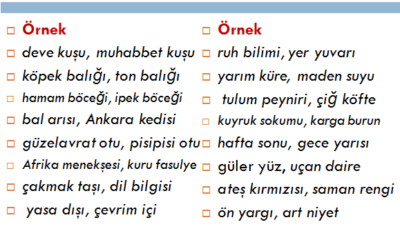 yazim kurallari world languages quizizz