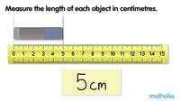 Measuring Length Flashcards - Quizizz
