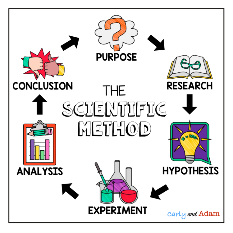 hypothesis testing - Grade 4 - Quizizz