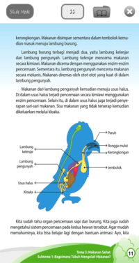 Meringkas Teks Fiksi - Kelas 5 - Kuis