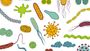 Viruses, Bacteria, and Protists Quiz