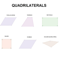 Classifying Quadrilaterals - Grade 3 - Quizizz