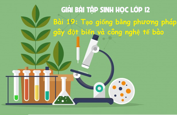 công nghệ sinh học Flashcards - Quizizz