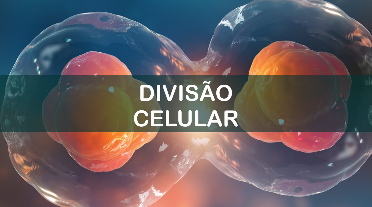 divisão celular - Série 1 - Questionário