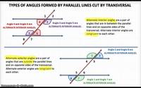 transversal of parallel lines - Year 7 - Quizizz