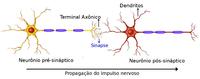 circulação atmosférica e sistemas meteorológicos - Série 5 - Questionário