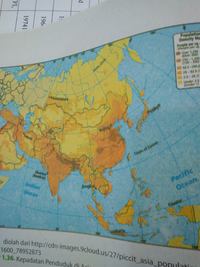 Ras yang mendominasi kawasan asia timur dan asia tenggara adalah