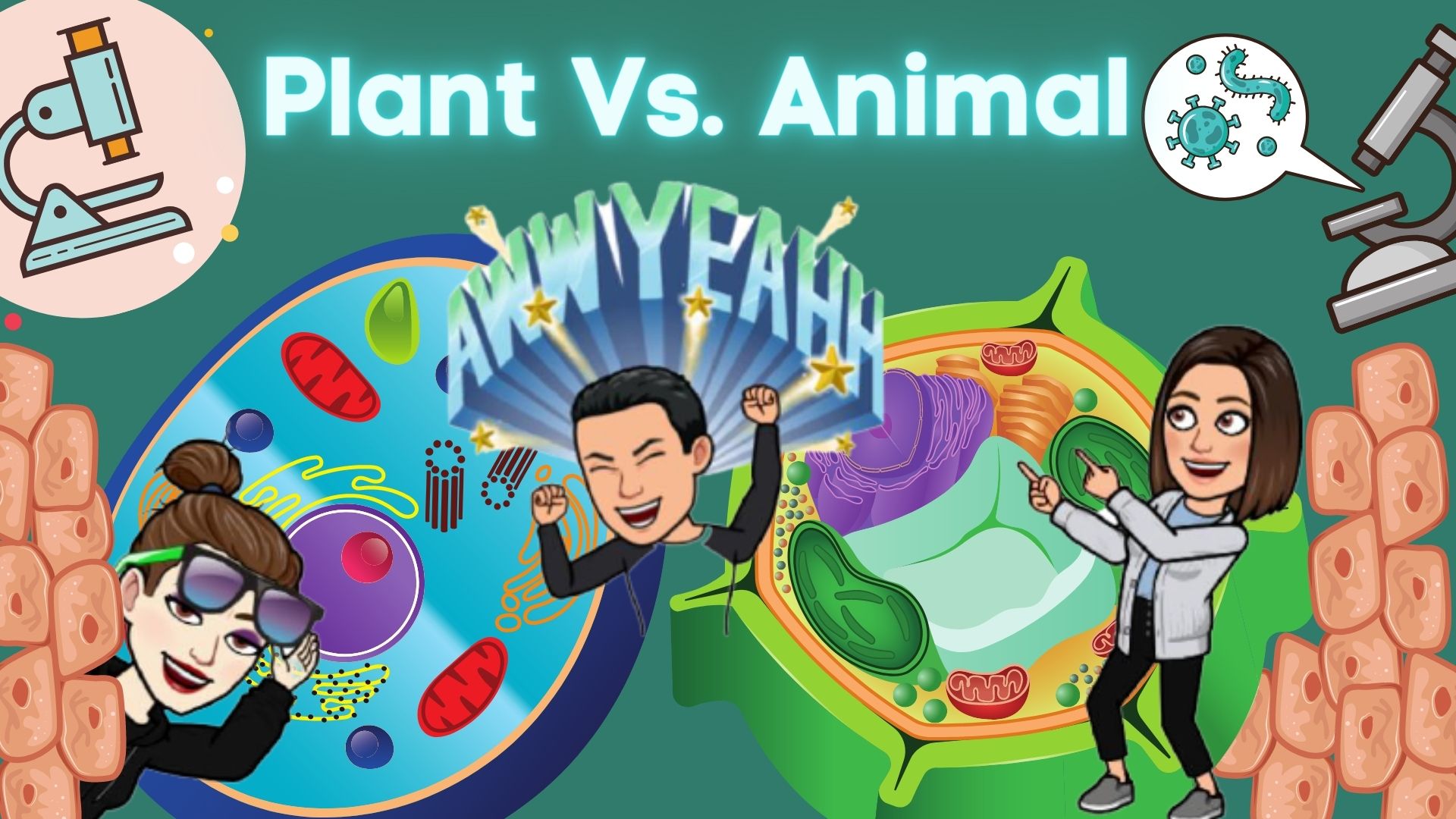 plant-vs-animal-cells-science-quizizz