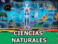 estructura de una celula - Grado 5 - Quizizz