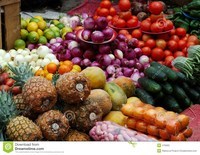 diagrama de células vegetales - Grado 4 - Quizizz