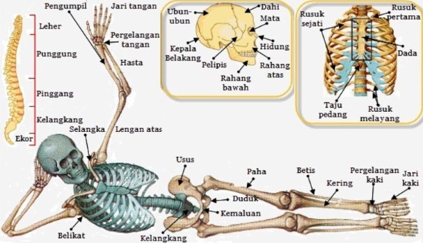 Alat dan Strategi Pengukuran - Kelas 11 - Kuis